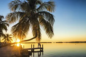 Palm Trees & Jetty at Sunset, Islamorada, Florida Keys, USA Palm Trees & Jetty at Sunset, Islamorada, Florida Keys, USA