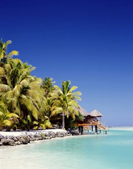 Palm Trees & Tropical Beach, Aitutaki Island, Cook Islands, Polynesia Palm Trees & Tropical Beach, Aitutaki Island, Cook Islands, Polynesia