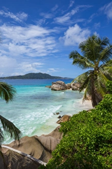 Palm trees and tropical beach, La Digue, Seychelles Palm trees and tropical beach, La Digue, Seychelles