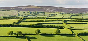 Spring In England Prints: Patchwork rolling countryside below Dunkery Beacon, Exmoor, Somerset, England. Spring