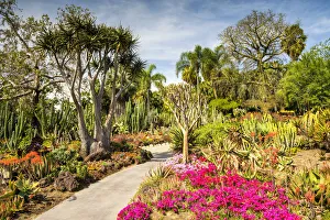 Path Through Desert Garden, Huntington Botanical Gardens, San Marino, California, USA Path Through Desert Garden, Huntington Botanical Gardens, San Marino, California, USA