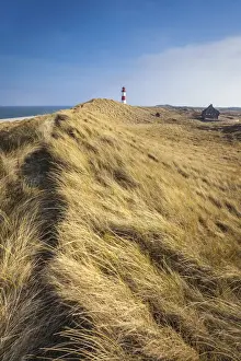 Path to List-Ost Lighthouse Print, Sylt, Germany