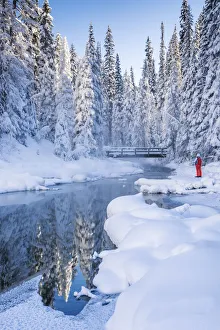 Person in Winter Landscape, Emerald Lake, Yoho National Park, British Columbia, Canada Person in Winter Landscape, Emerald Lake, Yoho National Park, British Columbia, Canada