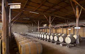 Peru, Bodega Ocucaje, Winery And Vineyards, Barrels Of Aging Red Wines, Ocucaje Desert Peru, Bodega Ocucaje, Winery And Vineyards, Barrels Of Aging Red Wines, Ocucaje Desert