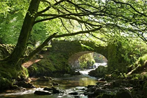 Prints of Picturesque Robbers Bridge near Oare, Exmoor, Somerset, England. Spring (May) Somerset Prints: Print of Robbers Bridge near Oare, Exmoor