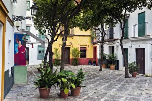 Picturesque small square in Santa Cruz neighborhood, Seville, Andalusia, Spain Picturesque small square in Santa Cruz neighborhood, Seville, Andalusia, Spain