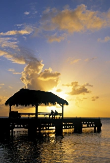 Caribbean Beaches Prints: Pigeon Point