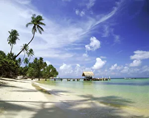 Palm Trees & Boats, Pigeon Point, Tobago, West Indies