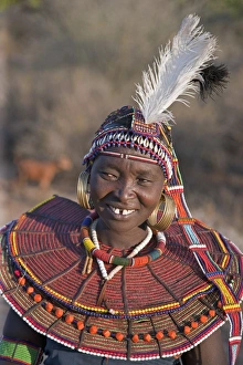 A Pokot woman wearing the traditional beaded ornaments of her tribe which denote her A Pokot woman wearing the traditional beaded ornaments of her tribe which denote her