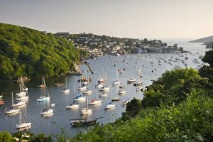 Pont Pill, Polruan and the Fowey Estuary from Hall Walk near Bodinnick, Cornwall, England Pont Pill, Polruan and the Fowey Estuary from Hall Walk near Bodinnick, Cornwall, England