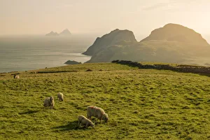 Portmagee, County Kerry, Munster province, Ireland, Europe. View of the Puffin island Portmagee, County Kerry, Munster province, Ireland, Europe. View of the Puffin island