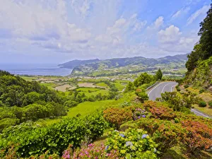 Portugal, Azores, Sao Miguel, Nordeste, View of the Eastern Coast with Hortensias Portugal, Azores, Sao Miguel, Nordeste, View of the Eastern Coast with Hortensias