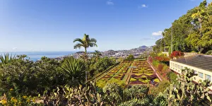 Portugal, Madeira, Funchal, Monte, Botanical Gardens Portugal, Madeira, Funchal, Monte, Botanical Gardens