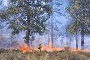 Prescribed burn near Bend, Oregon, USA MR Prescribed burn near Bend, Oregon, USA MR