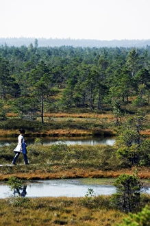 Protected Land of Bogs and Marshes, Kemeri National Park Protected Land of Bogs and Marshes, Kemeri National Park