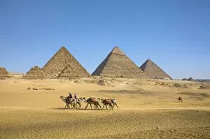 Historic Cairo Collection: Pyramids of Giza, Giza, Cairo, Egypt