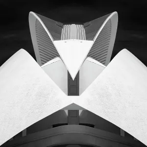 Prints of Detail of the Palau de les Arts Reina Sofia (Opera House), Ciudad de los artes y ciencias (City of Arts and Sciences), Valencia, Spain Opera Prints: Print of the Palau de les Arts Opera House