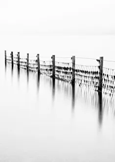 Remains of the old fence on Derwentwater, Cumbria, UK Remains of the old fence on Derwentwater, Cumbria, UK