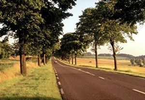 French Countryside Roads Prints: Road, Normandy