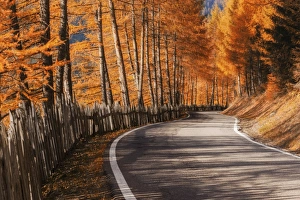 The road to the Odle, Val di Funes, Dolomites, delimited by a characteristic wooden fence The road to the Odle, Val di Funes, Dolomites, delimited by a characteristic wooden fence