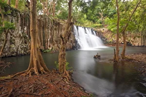 the Rochester fall in winter day, Savanne district, Mauritius, Indian Ocean, Africa the Rochester fall in winter day, Savanne district, Mauritius, Indian Ocean, Africa