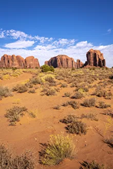 Rock formations and bushes on sunny day in Monument Valley, Arizona, USA Rock formations and bushes on sunny day in Monument Valley, Arizona, USA