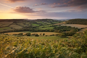 Rolling Dorset countryside viewed from Golden Cap, Dorset, England. Summer Rolling Dorset countryside viewed from Golden Cap, Dorset, England. Summer