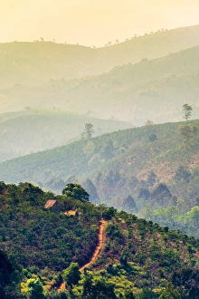 Rolling hills and coffee plantations in Central Highlands, Bao Loc, Lam Dong Province Rolling hills and coffee plantations in Central Highlands, Bao Loc, Lam Dong Province