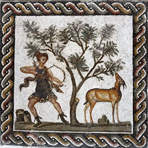 Tunis Collection: Roman mosaic, Bardo museum, Tunis, Tunisia