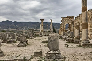 Archaeological Site of Volubilis Collection: Roman ruins, Volubilis, Morocco