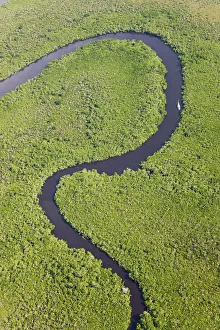 Sail boat & aerial view of rain forest, Daintree River, Daintree National Park, Queensland Sail boat & aerial view of rain forest, Daintree River, Daintree National Park, Queensland