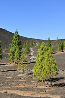 Samara volcano in the Teide National Park (Parque Nacional del Teide) Samara volcano in the Teide National Park (Parque Nacional del Teide)