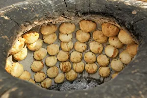 Samsa (samosa), a fried or baked dish with a filling of vegetables and minced lamb Samsa (samosa), a fried or baked dish with a filling of vegetables and minced lamb