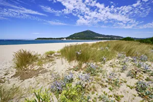 Sand dunes with its endemic flora and the beach of Caminha at the mouth of the River Sand dunes with its endemic flora and the beach of Caminha at the mouth of the River