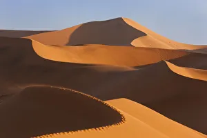Sand dunes, Namib Naukluft National Park, Namibia Sand dunes, Namib Naukluft National Park, Namibia