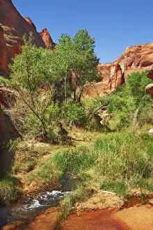 Sandstone erosion landscape im Coyote Gulch - USA, Utah, Kane, Escalante Canyons Sandstone erosion landscape im Coyote Gulch - USA, Utah, Kane, Escalante Canyons