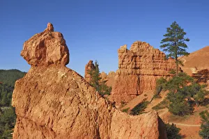 Sandstone erosion landscape in Red Canyon - USA, Utah, Garfield Sandstone erosion landscape in Red Canyon - USA, Utah, Garfield