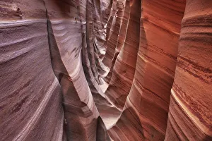 Sandstone erosion landscape in Zebra Slot Canyon - USA, Utah, Kane, Escalante Canyons Sandstone erosion landscape in Zebra Slot Canyon - USA, Utah, Kane, Escalante Canyons