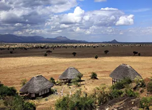 Savanna, Kidepo national park, Uganda, East Africa Savanna, Kidepo national park, Uganda, East Africa