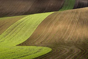 Scenic view of brown and green rolling hills near Kyjov, Hodonin District Scenic view of brown and green rolling hills near Kyjov, Hodonin District