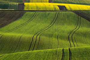Scenic view of green rolling hills near Kyjov, Hodonin District, South Moravian Region Scenic view of green rolling hills near Kyjov, Hodonin District, South Moravian Region