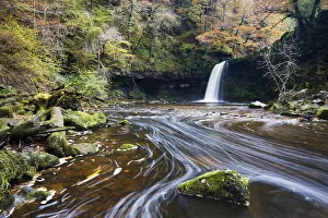 Sgwd Gwladus waterfall surrounded by autumnal foliage, near Ystradfellte, Brecon Beacons Sgwd Gwladus waterfall surrounded by autumnal foliage, near Ystradfellte, Brecon Beacons