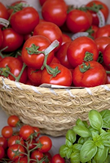Sicily, Italy, Western Europe; Tomatoes and basil; staple items in the Southern Italian Sicily, Italy, Western Europe; Tomatoes and basil; staple items in the Southern Italian