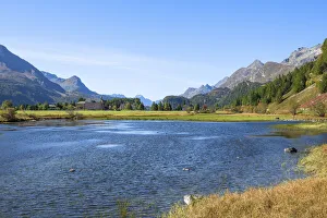 Swiss Lake Landscapes Prints: Sils with Lake Sils in fall, Upper Engadin, Grisons (Graubunden), Switzerland