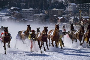 Winter Sports Activities Prints: Skijoring