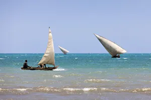 Three small dhows are out fishing near the coast, Zanzibar, Tanzania Three small dhows are out fishing near the coast, Zanzibar, Tanzania