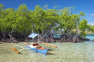 Small outrigger boat and mangrove trees (Rhizophora mangle) on CYC Island, Coron, Palawan Small outrigger boat and mangrove trees (Rhizophora mangle) on CYC Island, Coron, Palawan