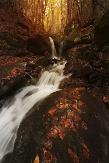European Wilderness Areas Prints: Small water stream in fall running through the Appennines in Emilia Romagna, Italy