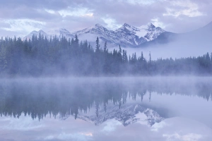 Snow capped mountains reflect in a misty Herbert Lake, Canadian Rockies, Banff National Park Snow capped mountains reflect in a misty Herbert Lake, Canadian Rockies, Banff National Park
