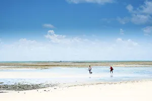 South America, Brazil, Bahia, Tinhare island, Boipeba, local fishermen on an idyllic South America, Brazil, Bahia, Tinhare island, Boipeba, local fishermen on an idyllic